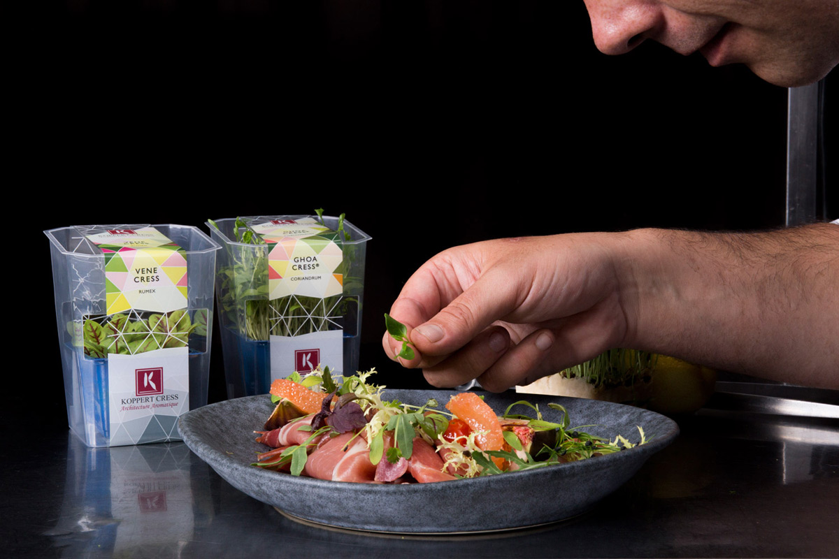 Tailor-made packaging for Koppert Cress